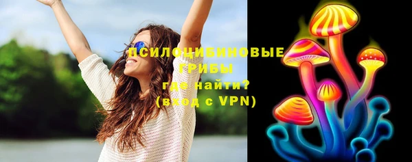 винт Алзамай