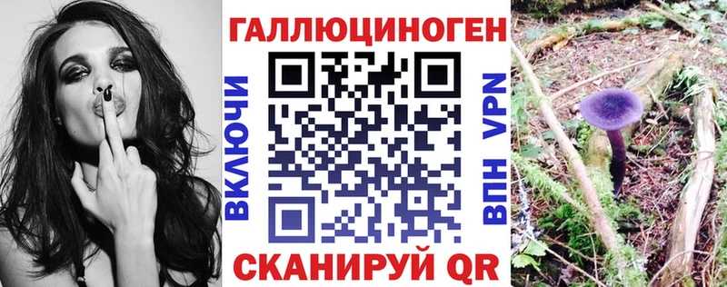 купить наркотик  Алексин  Галлюциногенные грибы прущие грибы 